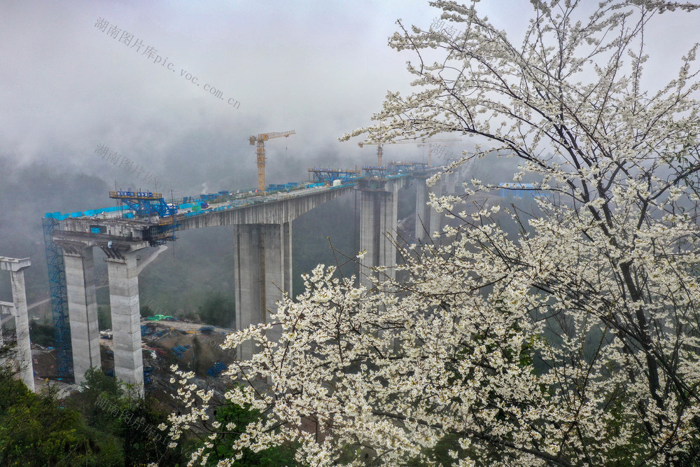 湖南 龙山 桑龙高速公路 建设 有序推进 