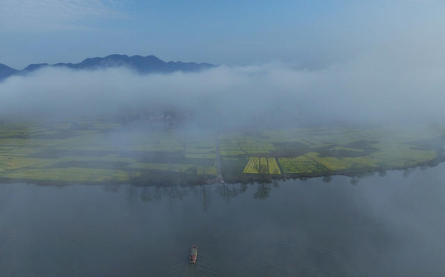 晨雾 乡村 春分 油菜花 美景 春意