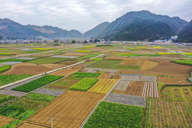 湖南 湘西 龙山 田园 春色 春耕 春管 劳作 风光