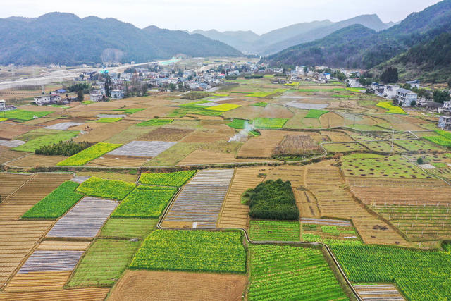 湖南 湘西 龙山 田园 春色 春耕 春管 劳作 风光