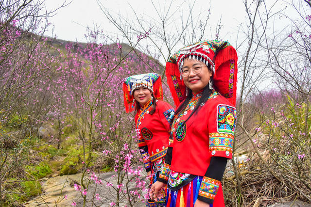 江永  紫荆花  生态  旅游  自然