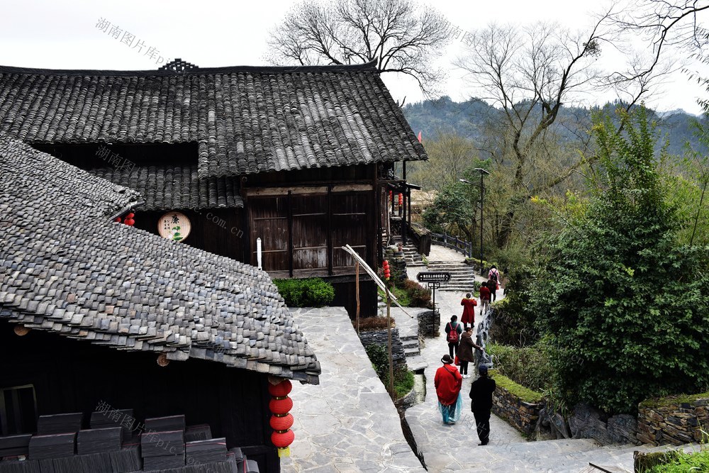 旅游 苗寨 群山 人家 白云 树林 