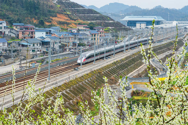 高铁  春光