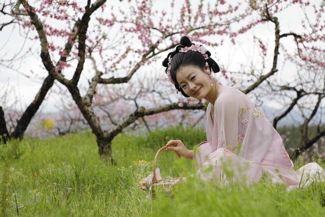 湖南 新田 桃花 主题 赏花 活动