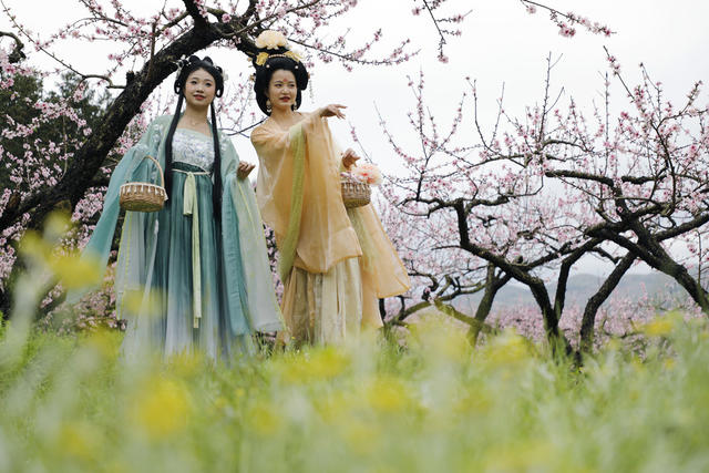 湖南 新田 桃花 主题 赏花 活动