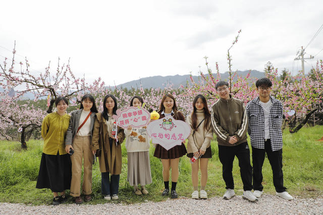 湖南 新田 桃花 主题 赏花 活动