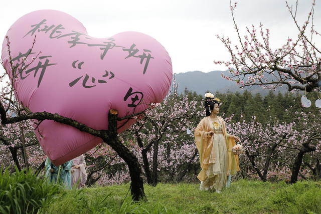 湖南 新田 桃花 主题 赏花 活动