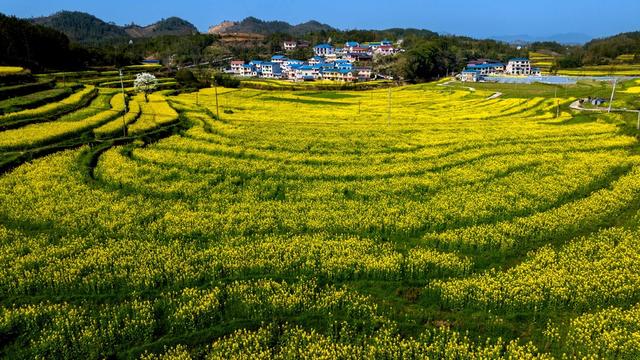 旅游  宣传