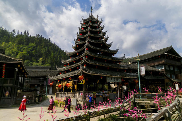 通道 侗寨 游客 观赏 桃花 游玩 侗寨