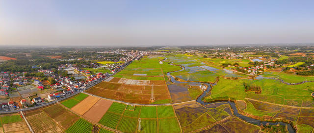  Grasping the rice bowl in hand, planting grain, grain production, food security