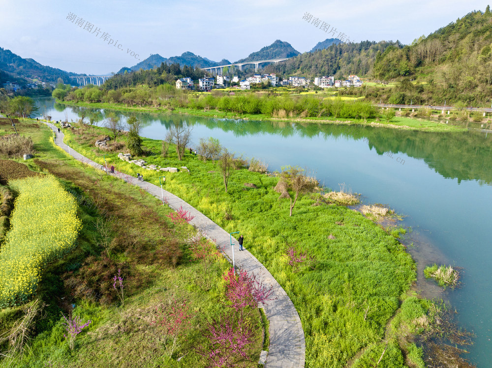 湿地 生态 