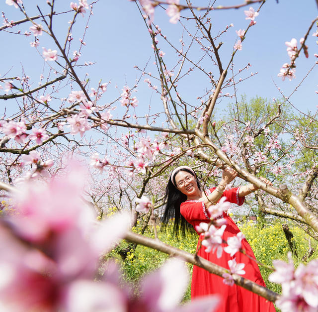 桃花  游玩  乐享春天  旅游  风景  乐享春光  李花 油菜花  春天  