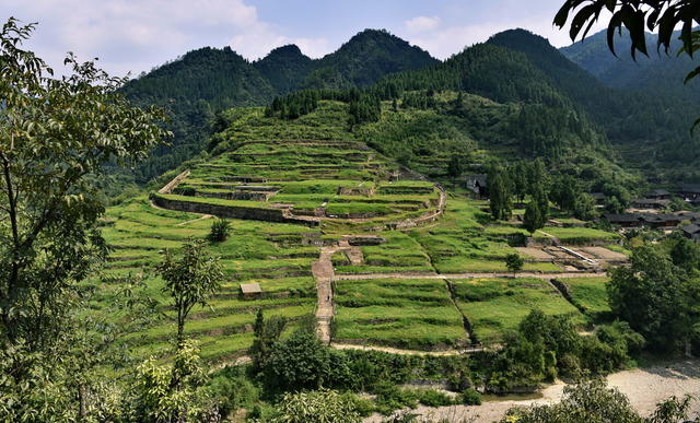 世界文化遗产 湘西 文物 遗址 土司 明代 土家族