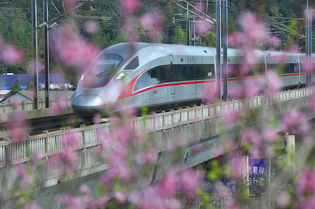 春光 春色 春花 美景