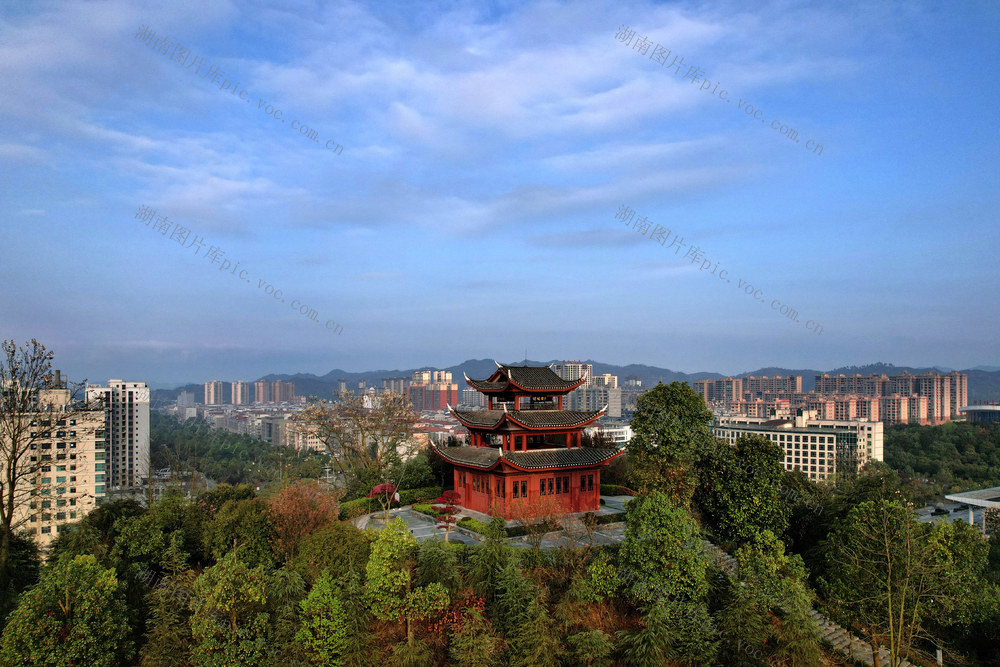 城市植绿生态美