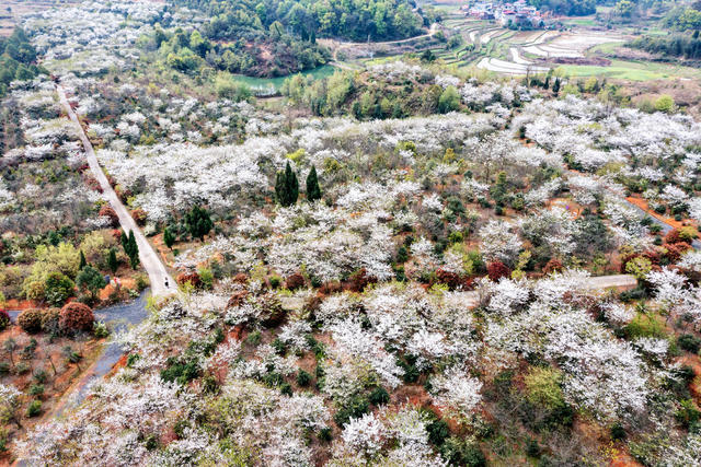 乡村旅游  