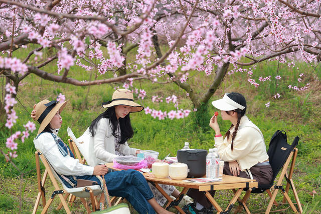 赏花 桃花 踏青 乡村振兴
