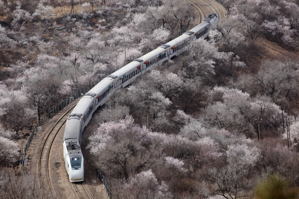 北京，居庸关花海，行驶在春天里
