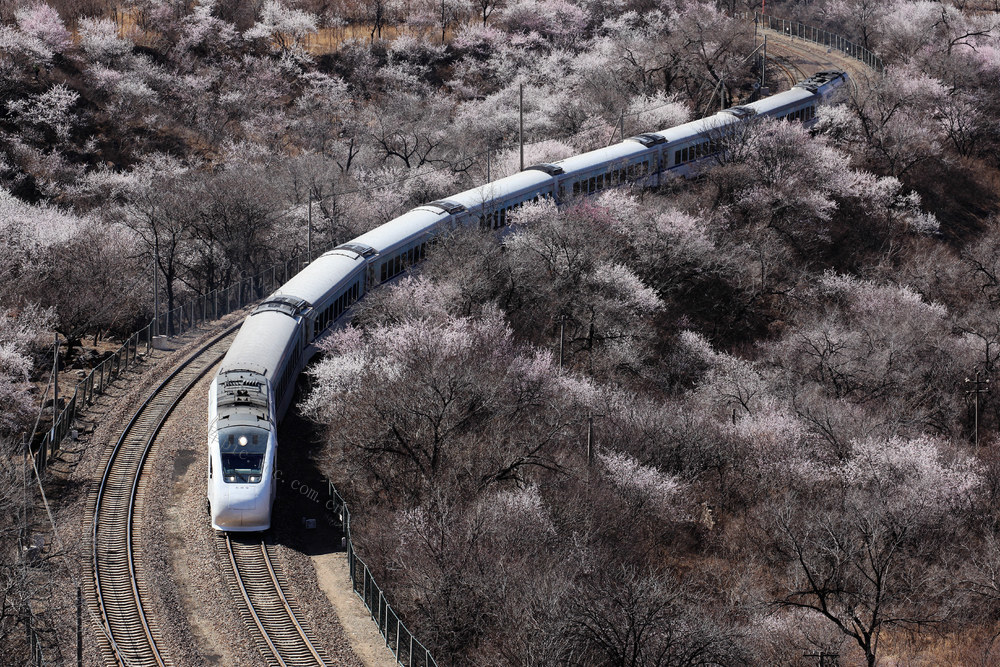 北京，旅游，开往春天的列车