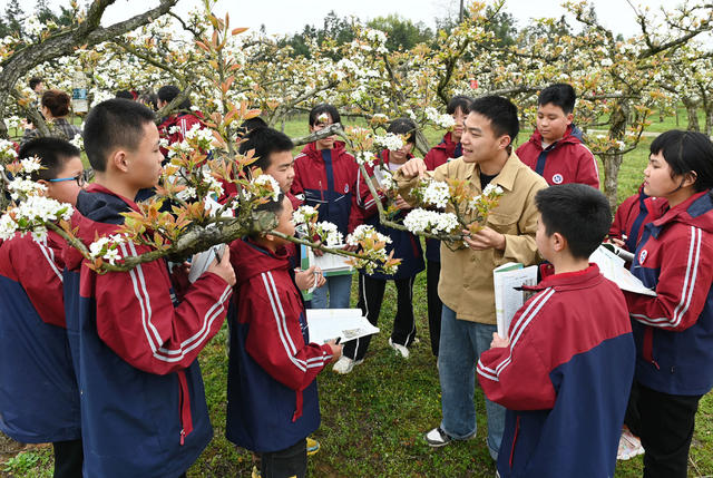 教育 学生  社会实践  户外课堂  梨园  生物课  教学  教师 大自然  梨树 园艺场  知识