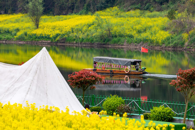 春色  油菜花  湘西  旅游 