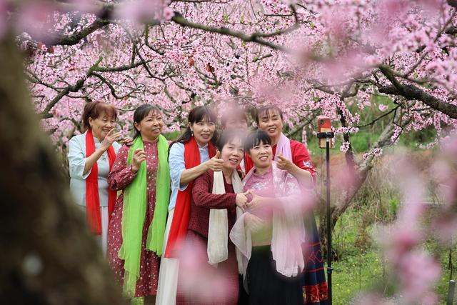 旅游、桃花、乡村、游客、春天