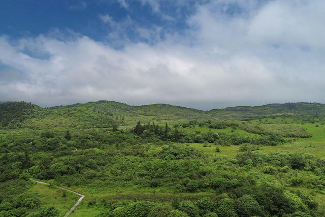 古田 高山草甸 保护区 湿地