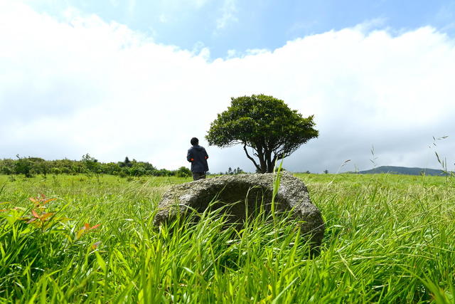 古田 高山草甸 保护区 湿地