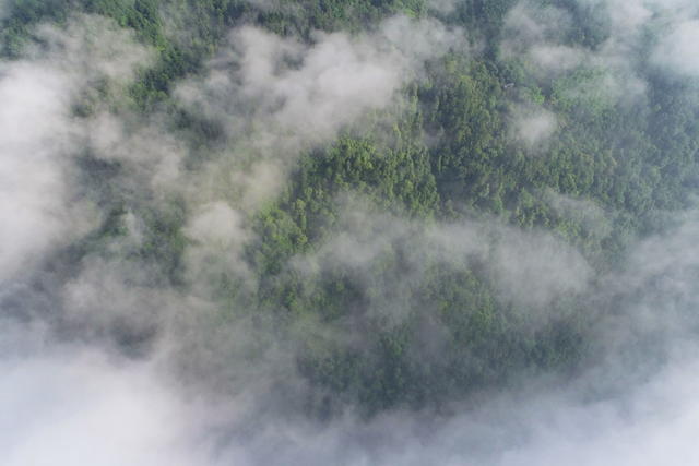 峡谷  云雾 保护区 马鞍山