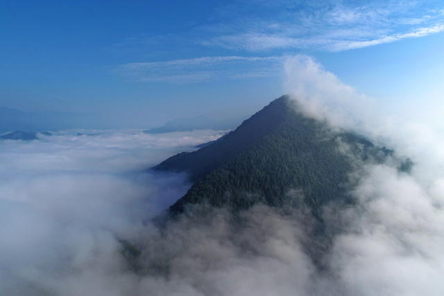 峡谷  云雾 保护区 马鞍山