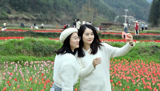 春暖花开时 乐享春光美