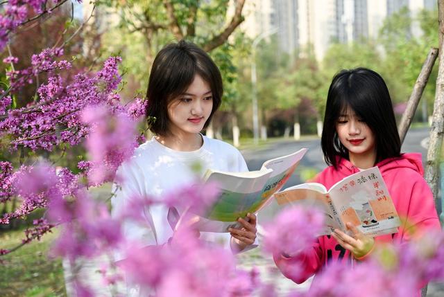 迎春盛放 春日画卷  校园