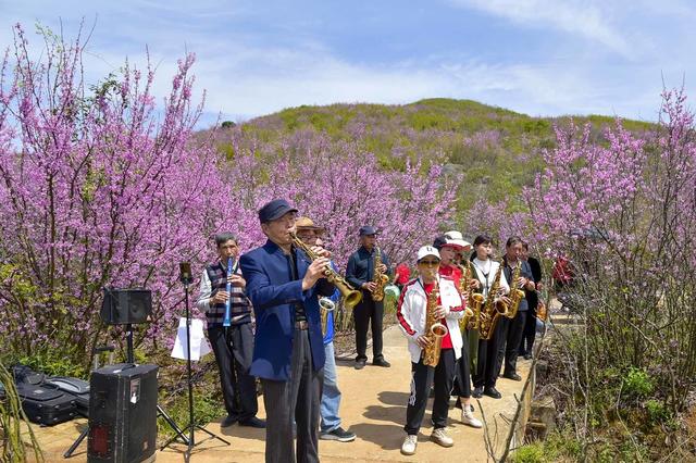 江永县、紫荆花、游客、美景