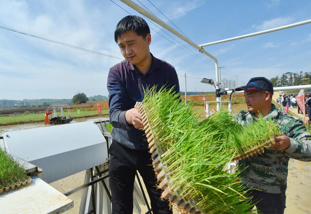 嘉禾：农机培训演示   助力水稻生产  
