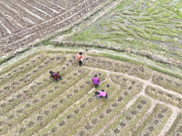 田 园
道县
春耕
备耕