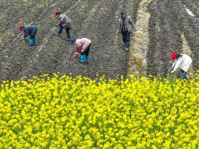 田 园
道县
春耕
备耕