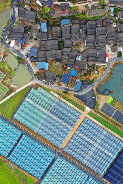 苏仙区：产业兴 乡村美