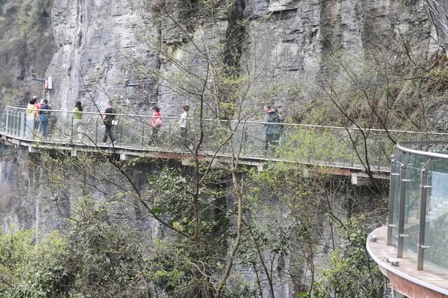 游客  湘西 吉首 旅游 大桥 悬索 路桥 奇观 峡谷 春天 栈道  游览  参观  休闲