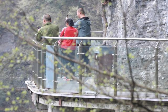 游客  湘西 吉首 旅游 大桥 悬索 路桥 奇观 峡谷 春天 栈道  游览  参观  休闲