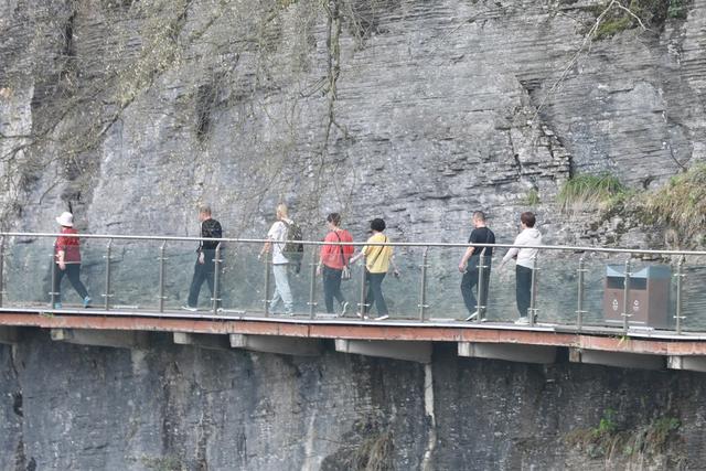 游客  湘西 吉首 旅游 大桥 悬索 路桥 奇观 峡谷 春天 栈道  游览  参观  休闲