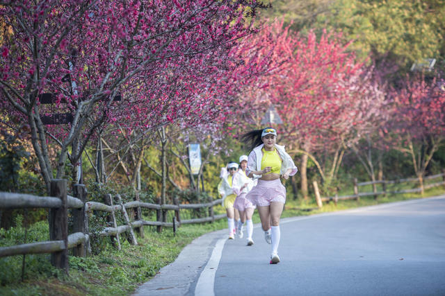 娄底 晨跑 运动