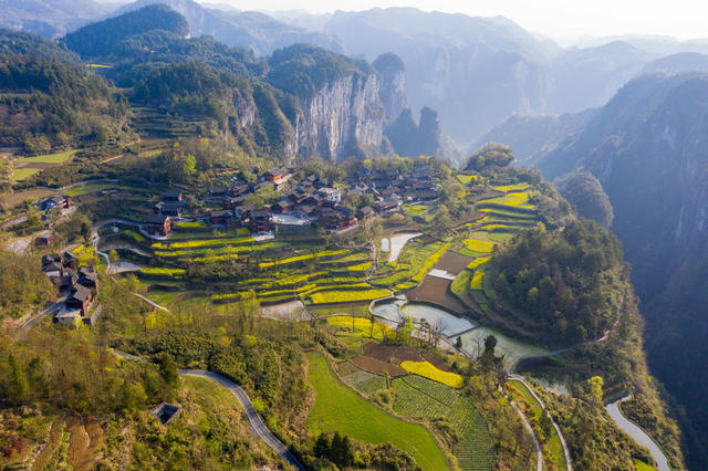 春色 油菜花  苗族 乡村 湘西 民居 