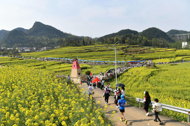 旅游 文化  油菜花节 乡村振兴