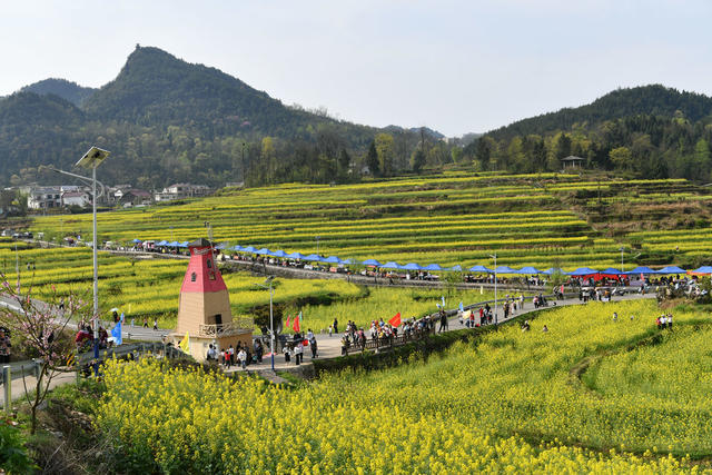 旅游 文化  油菜花节 乡村振兴