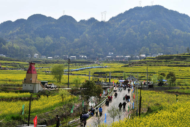旅游 文化  油菜花节 乡村振兴