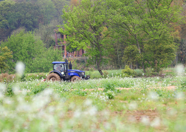春日 春耕 春播 农时 农事 