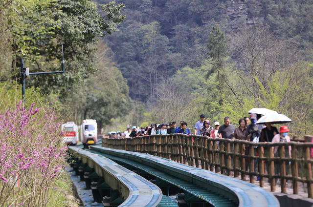 张家界 十里画廊 春色