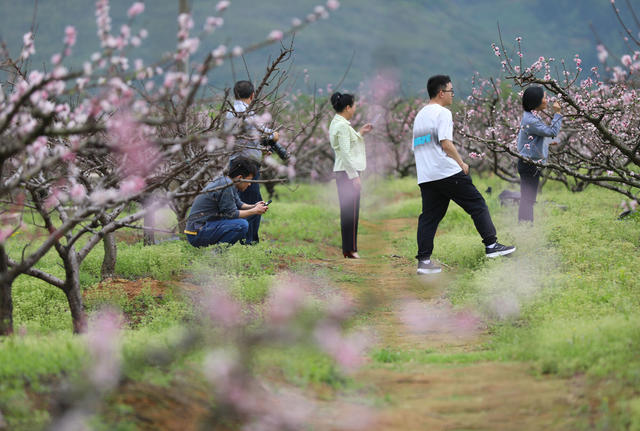 踏春 赏花