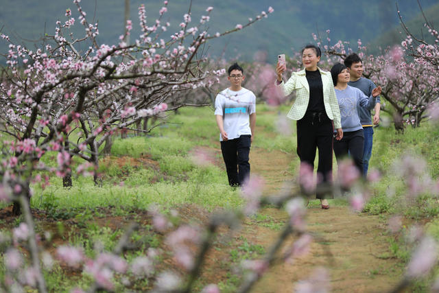踏春 赏花