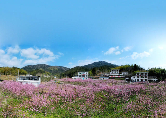 湖南桂东 产业 乡村 美 青竹村 旅游民宿